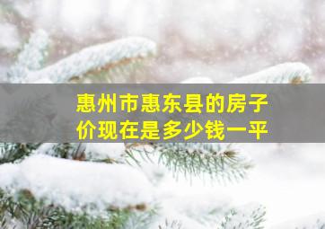 惠州市惠东县的房子价现在是多少钱一平