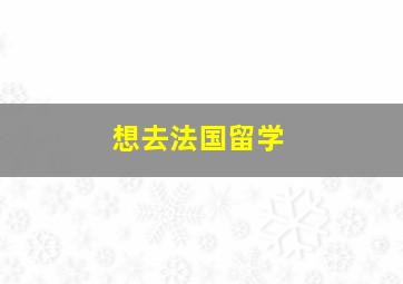 想去法国留学