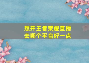 想开王者荣耀直播去哪个平台好一点