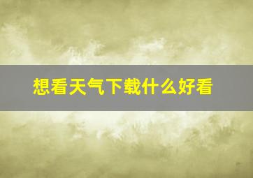 想看天气下载什么好看