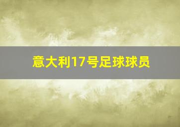 意大利17号足球球员