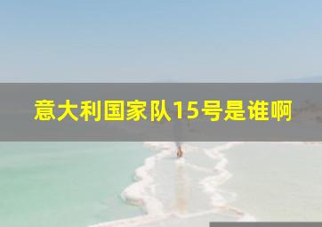 意大利国家队15号是谁啊