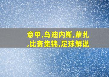 意甲,乌迪内斯,蒙扎,比赛集锦,足球解说