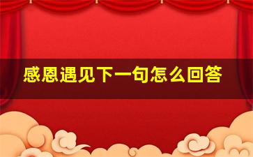 感恩遇见下一句怎么回答