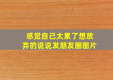 感觉自己太累了想放弃的说说发朋友圈图片