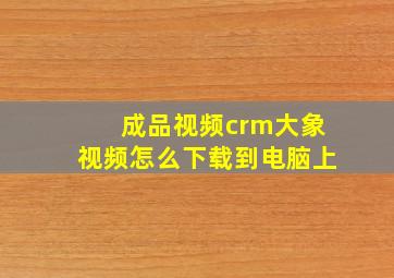 成品视频crm大象视频怎么下载到电脑上