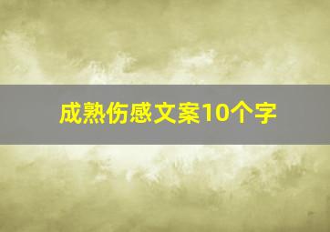 成熟伤感文案10个字