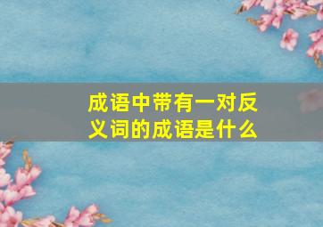 成语中带有一对反义词的成语是什么