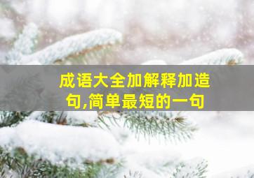 成语大全加解释加造句,简单最短的一句