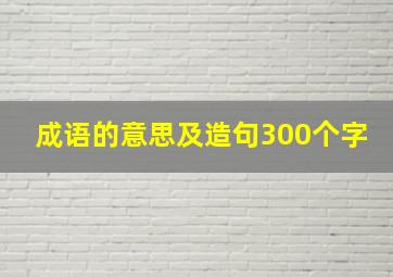 成语的意思及造句300个字