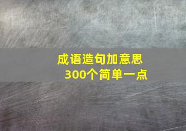 成语造句加意思300个简单一点