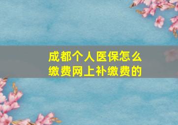 成都个人医保怎么缴费网上补缴费的