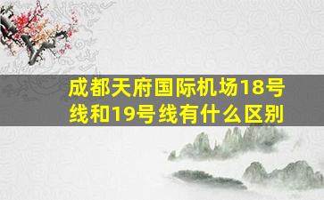 成都天府国际机场18号线和19号线有什么区别