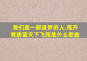 我们是一群追梦的人,甩开臂膀蓝天下飞翔是什么歌曲