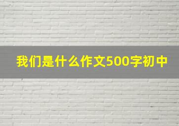 我们是什么作文500字初中