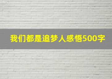 我们都是追梦人感悟500字