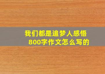 我们都是追梦人感悟800字作文怎么写的