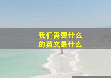 我们需要什么的英文是什么