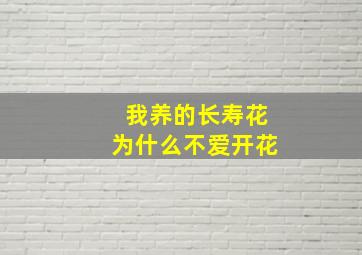 我养的长寿花为什么不爱开花