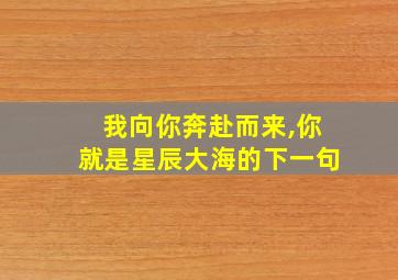 我向你奔赴而来,你就是星辰大海的下一句