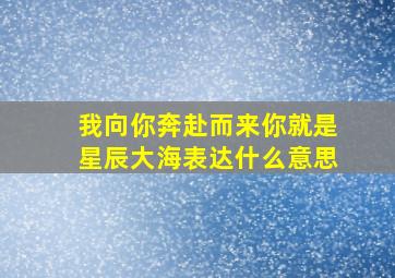 我向你奔赴而来你就是星辰大海表达什么意思