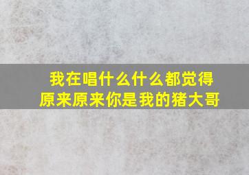 我在唱什么什么都觉得原来原来你是我的猪大哥