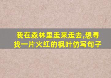 我在森林里走来走去,想寻找一片火红的枫叶仿写句子