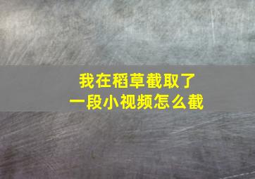 我在稻草截取了一段小视频怎么截