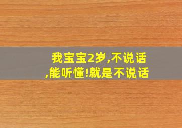 我宝宝2岁,不说话,能听懂!就是不说话