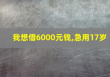 我想借6000元钱,急用17岁