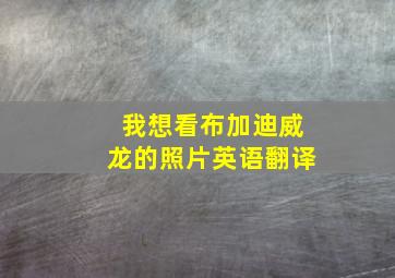 我想看布加迪威龙的照片英语翻译