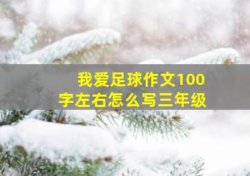 我爱足球作文100字左右怎么写三年级