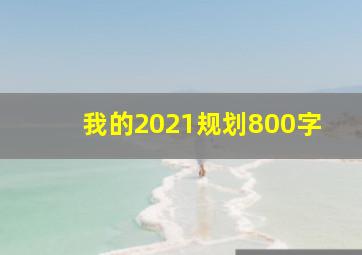 我的2021规划800字