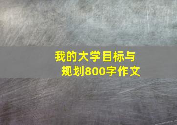 我的大学目标与规划800字作文