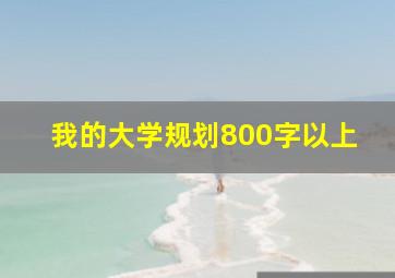 我的大学规划800字以上