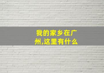 我的家乡在广州,这里有什么