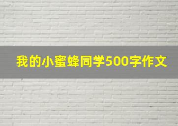 我的小蜜蜂同学500字作文