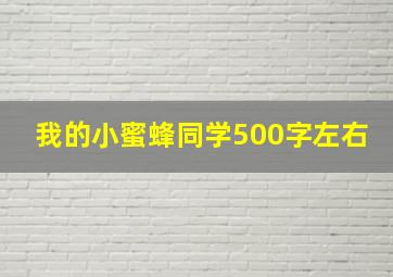 我的小蜜蜂同学500字左右