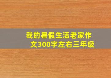 我的暑假生活老家作文300字左右三年级