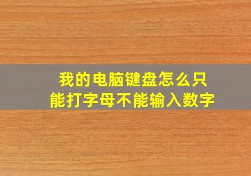 我的电脑键盘怎么只能打字母不能输入数字