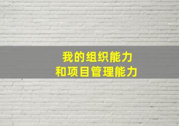 我的组织能力和项目管理能力