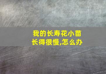 我的长寿花小苗长得很慢,怎么办