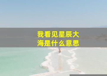 我看见星辰大海是什么意思