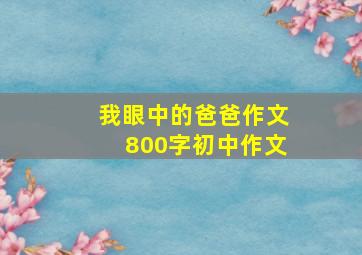 我眼中的爸爸作文800字初中作文