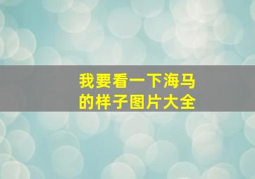 我要看一下海马的样子图片大全