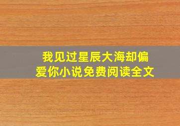 我见过星辰大海却偏爱你小说免费阅读全文