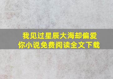 我见过星辰大海却偏爱你小说免费阅读全文下载