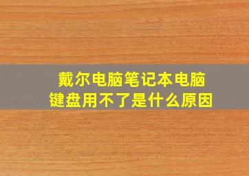 戴尔电脑笔记本电脑键盘用不了是什么原因