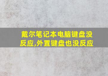 戴尔笔记本电脑键盘没反应,外置键盘也没反应