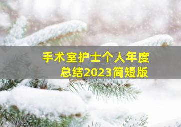 手术室护士个人年度总结2023简短版